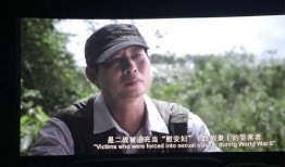 影片二十二在线观看,揭开历史记忆的伤痛