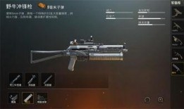 刺激战场爆料ss5最新