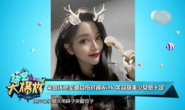 爆料视频第二季在线观看,揭秘幕后真相，精彩内容抢先看