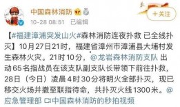 漳浦爆料新闻最新消息,突发事件引发关注，详情即将揭晓