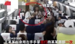 宜丰爆料小三事件视频播放,一场家庭伦理的激烈冲突