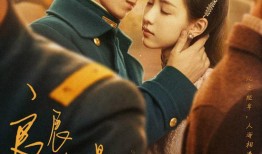 flypaper在线观看