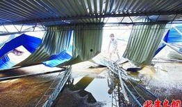 红岛街道最新爆料,揭秘神秘事件背后的真相