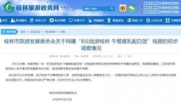 扬州导游爆料事件视频,揭秘背后真相