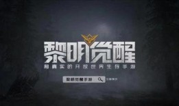 黎明觉醒代言人爆料视频,揭秘游戏幕后故事与精彩瞬间