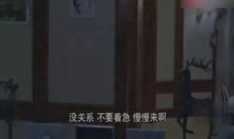 饶毅最新爆料消息新闻,揭秘事件背后惊人真相