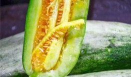 吃瓜网红 图片高清壁纸,高清壁纸下的网红风采