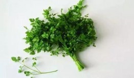 不吃香菜爆料怎么做视频,不吃香菜者的视频制作攻略