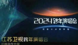 江苏卫视最新爆料,揭秘热门节目幕后故事！
