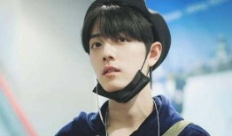 成毅村里人爆料视频大全,视频大全背后的真实故事