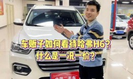 车贩子爆料新闻视频下载