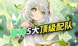 草神大招动画爆料视频,视觉盛宴解锁神秘力量