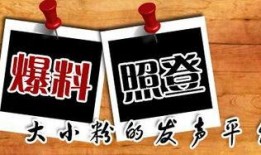 太和新闻爆料,揭秘某神秘事件背后真相