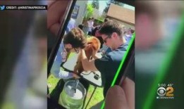 美国学校爆料视频大全,爆料视频大全深度解析