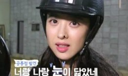 tastyroad在线观看,tastyroad在线观看美食攻略