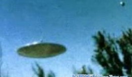 老兵爆料外星人视频大全,老兵爆料外星人视频大全汇总