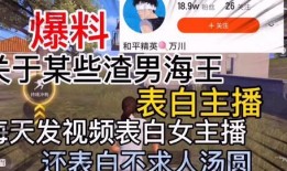 金华渣男爆料视频播放大全,揭秘不为人知的情感真相