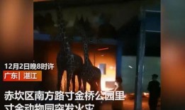 九红半夜爆料视频大全,独家爆料视频大全大汇总