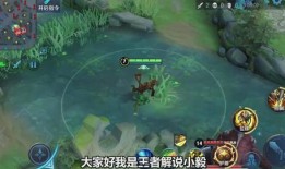 小飞棍王者爆料视频,独家爆料视频深度解析