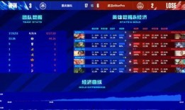 狼队小胖爆料视频,揭秘战队幕后故事与精彩瞬间