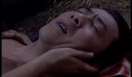 还枝格格在线观看,穿越时空的奇幻之旅