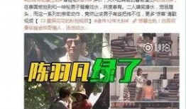 大鑫爆料完整视频,事件真相全解析
