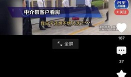 深圳中介最新爆料,中介最新爆料揭示价格走势与热门区域