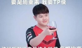 圈内爆料四个裁判怎么办,四名裁判涉嫌违规，真相即将揭晓