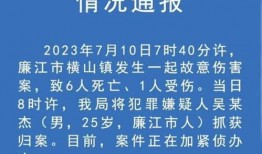 廉江知情人爆料事件最新,真相大白