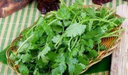 不吃香菜爆料怎么做视频,不吃香菜者的视频制作攻略