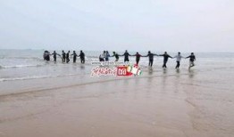 秦皇岛都市爆料新闻,揭秘城市热点事件背后的真相