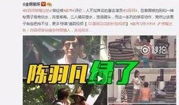 天涯爆料出轨细节视频大全,出轨细节视频大盘点，揭秘婚姻危机背后的真相