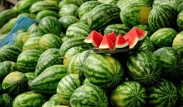 最火吃瓜网红排名,揭秘网络红人的崛起之路