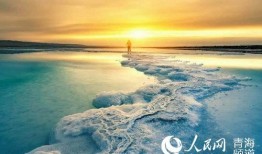 青海盐湖爆料事件最新,揭秘生态危机与环保挑战