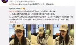 东营负面新闻爆料事件视频,真相与争议并存