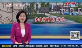 返厂最新爆料视频大全集,揭秘行业幕后真相