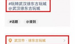 爆料视频赢得丰厚奖金,见证网络时代的正义力量