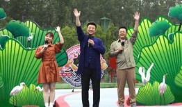 蛋仔岛最新爆料视频,揭秘神秘岛屿的奇幻冒险与未知挑战