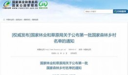 正定新闻爆料电话查询