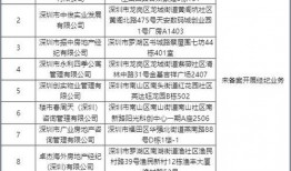 深圳中介最新爆料,中介最新爆料揭示价格走势与热门区域
