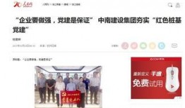 中南奈雪最新爆料新闻,中南区域独家爆料揭秘