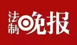 太和新闻爆料,揭秘某神秘事件背后真相